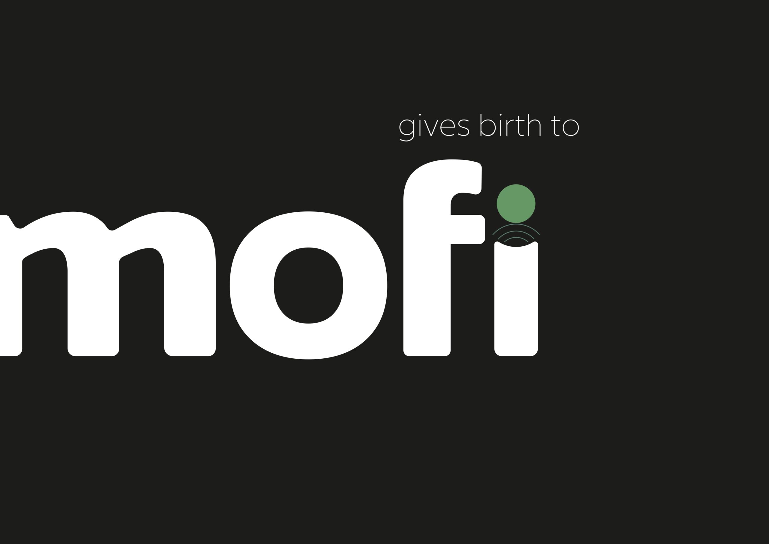 MOFI brand book_page-0011