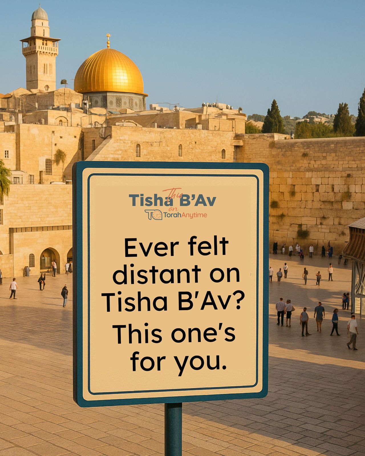 WhatsApp Image 2025-08-01 at 15.11.35